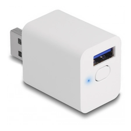 Delock WLAN EASY-USB